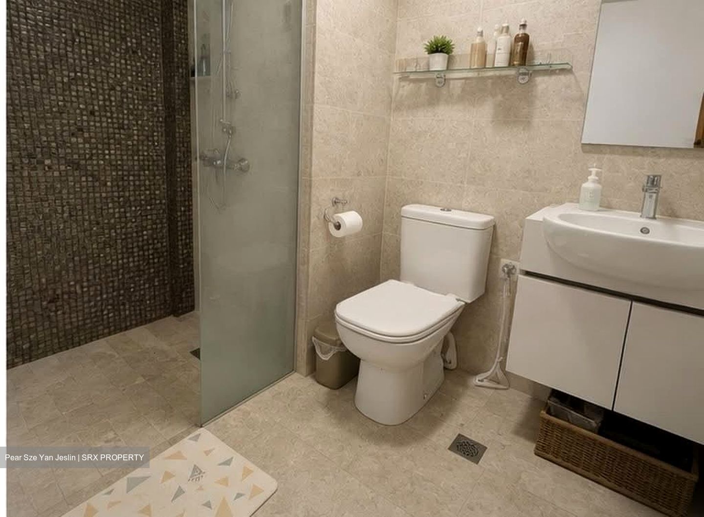 La Fiesta (D19), Condominium #577177581